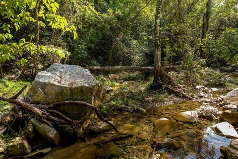 Wild stream in the Valle de los Ingenios, Trinidad, Cuba, Sancti Spíritus, Cuba, Villa Clara