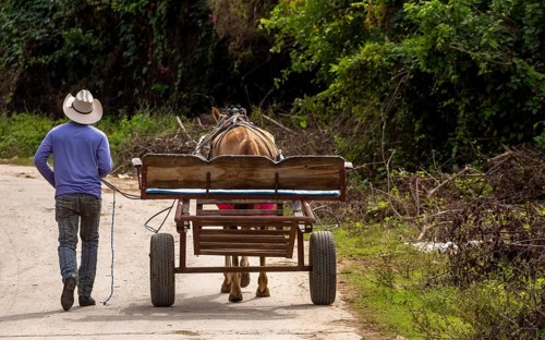 Cuban cowboy rider walking next to his one-horse cart, Valle de los Ingenios, Trinidad, Cuba,