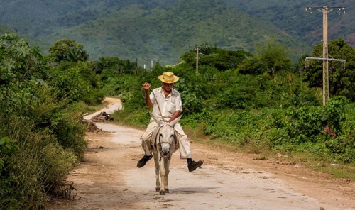 Old Cuban bear on a donkey mule with hat in Valle de los Ingenios, Trinidad, Cuba, Sancti Spíritus,