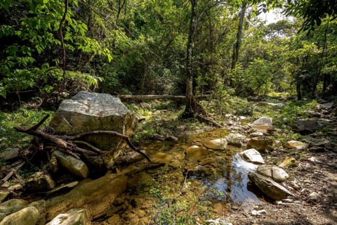 Wild stream in the Valle de los Ingenios, Trinidad, Cuba, Sancti Spíritus, Cuba, Villa Clara