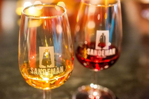 Wine tasting, white wine glass and red wine glass, wine cellar of the Sandemann winery in Gaia,