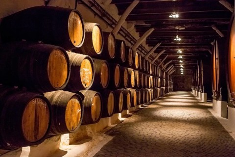 Port wine barrels, wine cellar of the Sandemann winery in Gaia, Porto, Vila Nova de Gaia, Porto