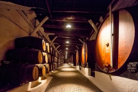 Port wine barrels, wine cellar of the Sandemann winery in Gaia, Porto, Vila Nova de Gaia, Porto
