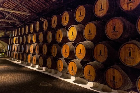 Port wine barrels, wine cellar of the Sandemann winery in Gaia, Porto, Vila Nova de Gaia, Porto