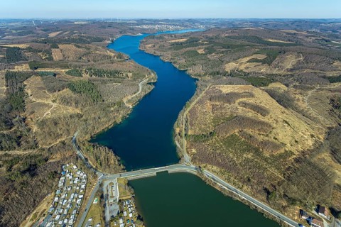 Aerial view, Sorpesee, forest area with forest damage, Amecke, Sundern, Sauerland, North