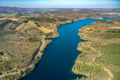 Aerial view, Sorpesee, forest area with forest damage, Amecke, Sundern, Sauerland, North