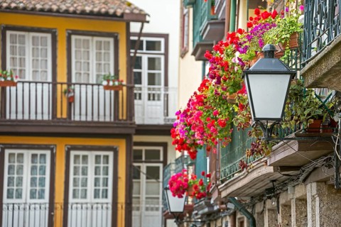 Hanging baskets on the balconies of the old town in Guimaraes, Guimaraes, Braga district, Portugal,