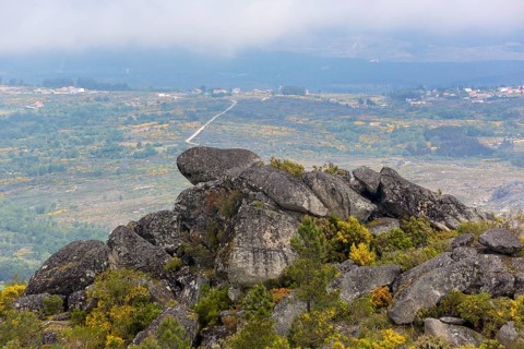 Barren highlands with broom bushes in bloom in the Sierra do Alvao, MondrÃµes, Vila Real district,
