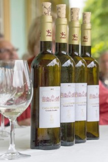 Wine tasting with the estate owner Jose, Casa de Sezim, Grande Escolha winery in the Minho region,