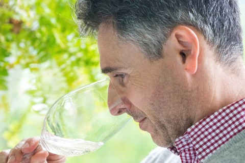 Wine tasting with the estate owner Jose, Casa de Sezim, Grande Escolha winery in the Minho region,