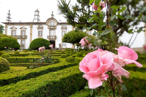 Spacious gardens of the palace, pink rose blossom, Casa de Mateus, palace with large gardens, Vila