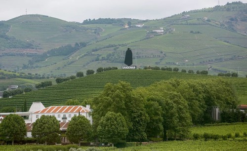 Company symbol of the Sandman port winery in the vineyards, vineyards in the middle Douro valley,