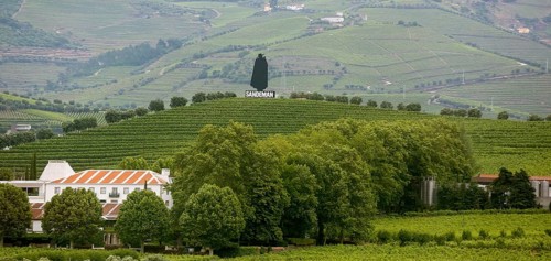 Company symbol of the Sandman port winery in the vineyards, vineyards in the middle Douro valley,