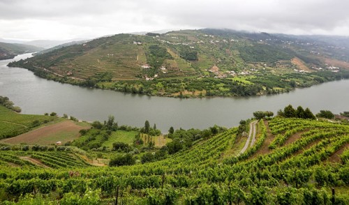 Central Douro wine region, river, Douro valley, vineyards, panorama, Santa Cristina, Vila Real