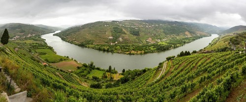 Central Douro wine region, river, Douro valley, vineyards, panorama, Santa Cristina, Vila Real