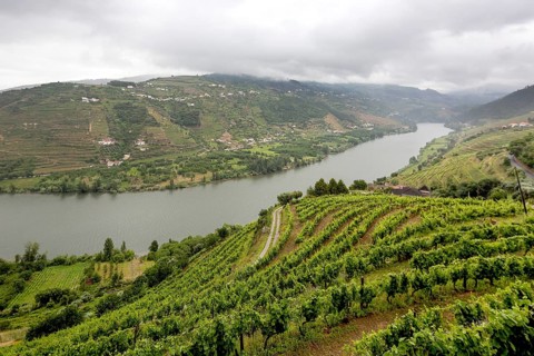 Wine-growing region middle Douro, river, Douro valley, vineyards, Santa Cristina, district Vila