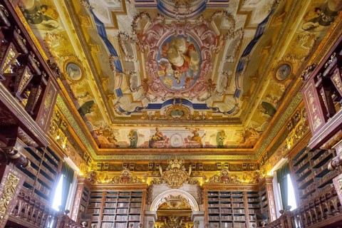 Biblioteca Joanina, historical university library, University of Coimbra, Coimbra, Coimbra