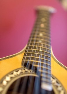Coimbra guitar, strings, Coimbra, Coimbra district, Portugal, Europe, aerial view, birds-eyes view,
