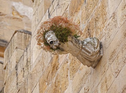 Gargoyle, Rain spout on the church facade Old Cathedral (Sé Velha), Old Town of Coimbra, Coimbra,