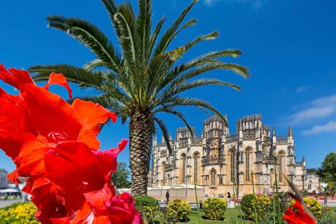 Hibiscus blossom, Hibiscus, Mallow (Hibiscus), Monastery of Santa Maria da VitÃüria, UNESCO World