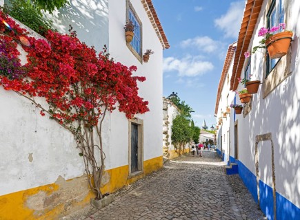 Picturesque facades with primroses and flower pots, picturesque small town Obidos, Ãbidos, district