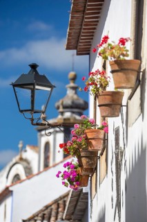 Picturesque facades with primroses and flower pots, picturesque small town Obidos, Ãbidos, district