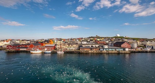 Fishing boats in the harbour with seagulls, Street Art Eternal Light Eternal Night, Observatory
