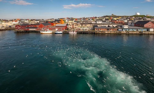 Fishing boats in the harbour with seagulls, Street Art Eternal Light Eternal Night, Observatory