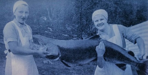 Photo of largest Atlantic salmon catch, Kirkenes, Finnmark, Norway, Scandinavia, Europe, adventure