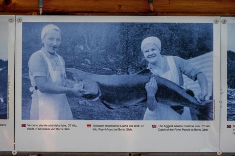 Photo of largest Atlantic salmon catch, Kirkenes, Finnmark, Norway, Scandinavia, Europe, adventure