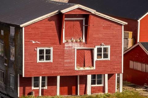 Bird's nests on the red Norwegian house in the harbour, view of Vardø, Finnmark, Norway,