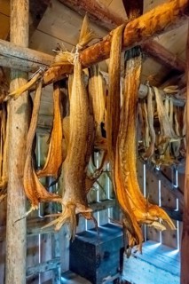 Lofotmuseet, Lofoten Museum, Kabelvåg, Nordland, Norway, Scandinavia, Europe, adventure travel,