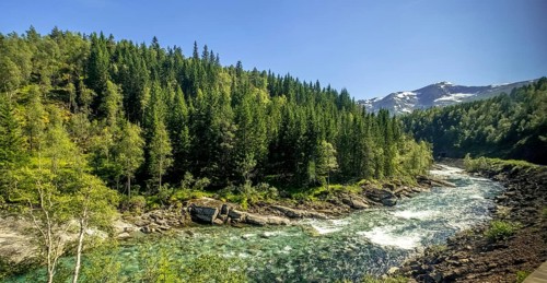River in the mountains, forest, stones, sky, Vossestrand, Hordaland, Norway, Scandinavia, Europe,