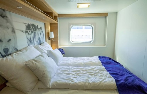 Cabin in cruise ship Polarlys, wolf picture, bed, window, Bergen, Hordaland, Norway, Scandinavia,