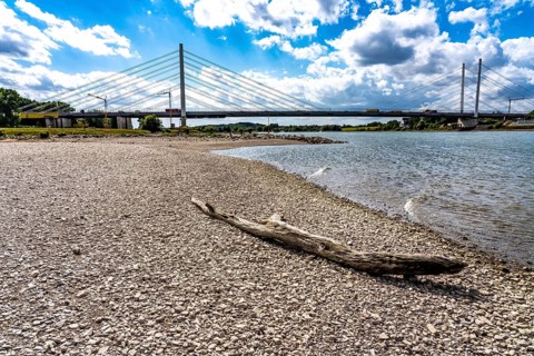 Rhine near Duisburg, low water, Rhine level, the right bank of the Rhine, near Duisburg-Neuenkamp,