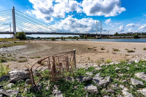 Rhine near Duisburg, low water, Rhine level, the right bank of the Rhine, near Duisburg-Neuenkamp,