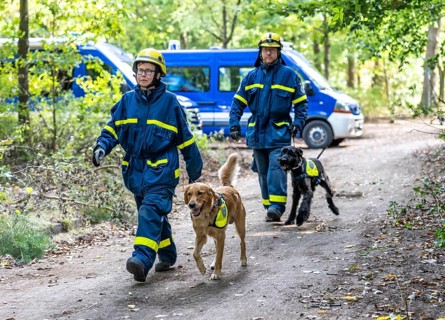 Dog handlers with rescue dogs from the Specialist Locating Group get ready for action, the sniffer