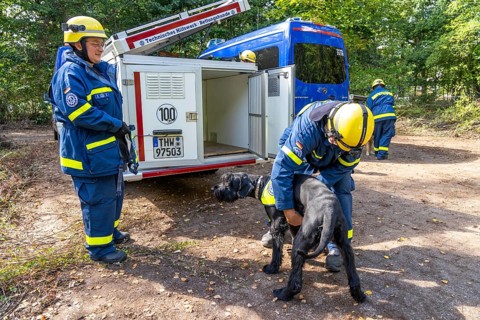 Dog handlers with rescue dogs from the Specialist Locating Group get ready for action, the sniffer