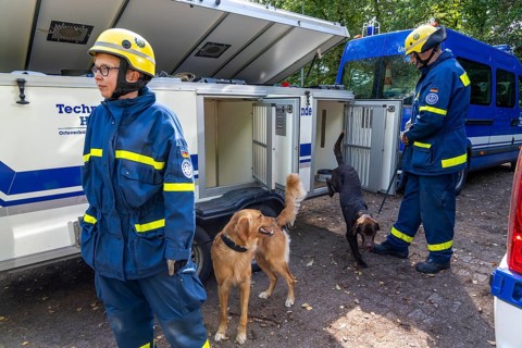 Dog handlers with rescue dogs from the Specialist Locating Group get ready for action, the sniffer