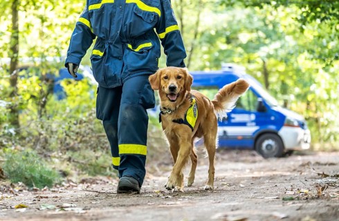 Dog handlers with rescue dogs from the Specialist Locating Group get ready for action, the sniffer