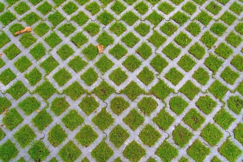Lawn pavers, made of concrete, instead of completely sealing an area with paving stones, concrete