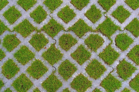 Lawn pavers, made of concrete, instead of completely sealing an area with paving stones, concrete