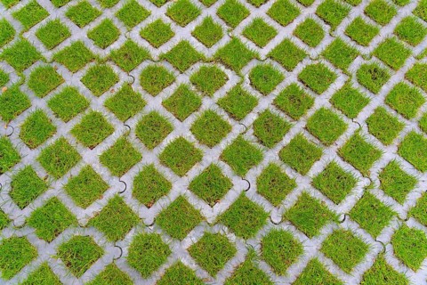 Lawn pavers, made of concrete, instead of completely sealing an area with paving stones, concrete