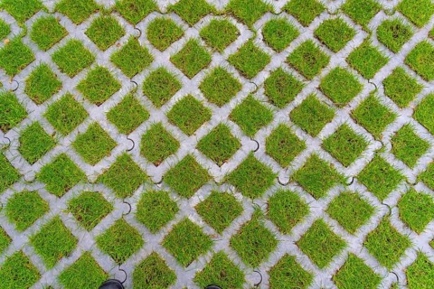 Lawn pavers, made of concrete, instead of completely sealing an area with paving stones, concrete