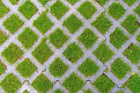 Lawn pavers, made of concrete, instead of completely sealing an area with paving stones, concrete