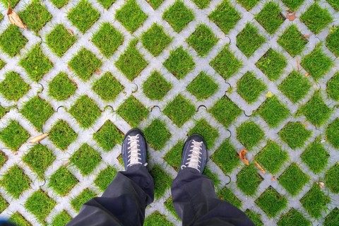 Lawn pavers, made of concrete, instead of completely sealing an area with paving stones, concrete