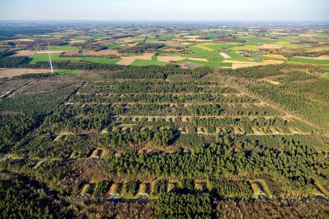 Aerial photo, Keller Pyro, storage facility for rent in Olfen, forest area Hullerner Straße,