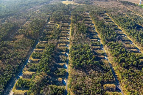 Aerial photo, Keller Pyro, storage facility for rent in Olfen, forest area Hullerner Straße,