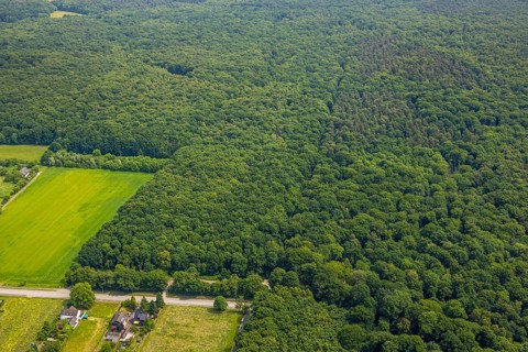 Aerial view, Hiesfelder Wald with playground at Franzosenstraße, Walsumer Mark, Oberhausen, Ruhr