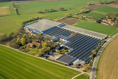 Aerial view, palm hero and gardener Gregg Garden Centre Greenhouse, Nordkirchen, Münsterland, North
